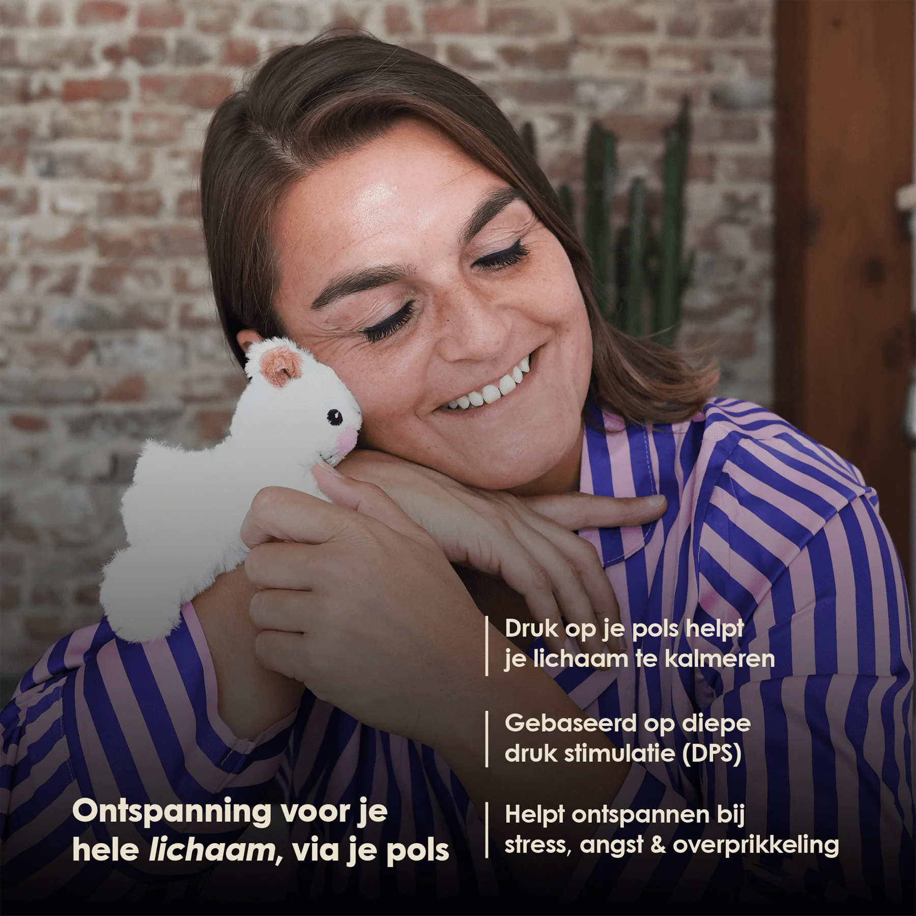 Mini Lotgenootje Schaap - Image 2