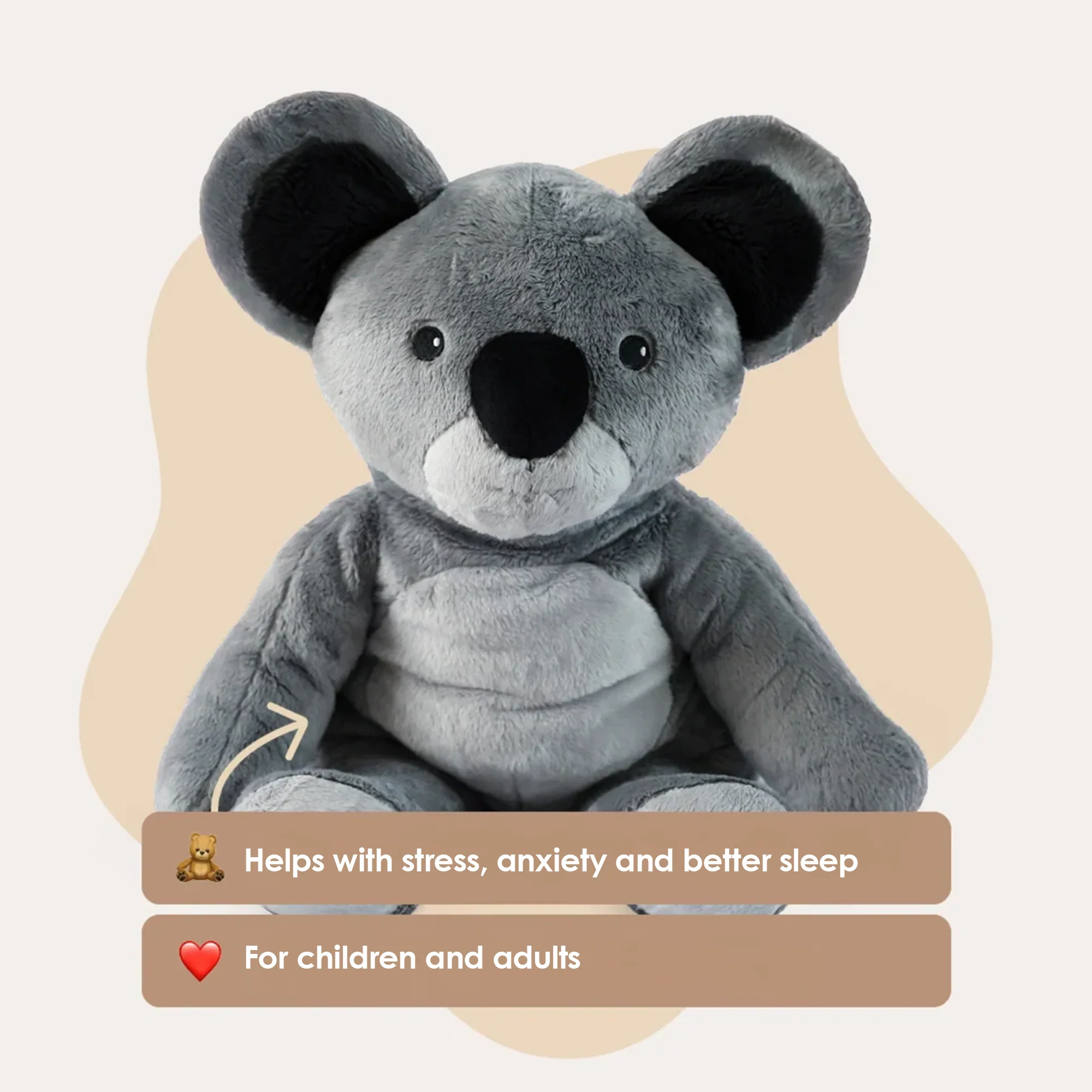 Mini & Grote Koala- Je bespaart €20 - Image 2