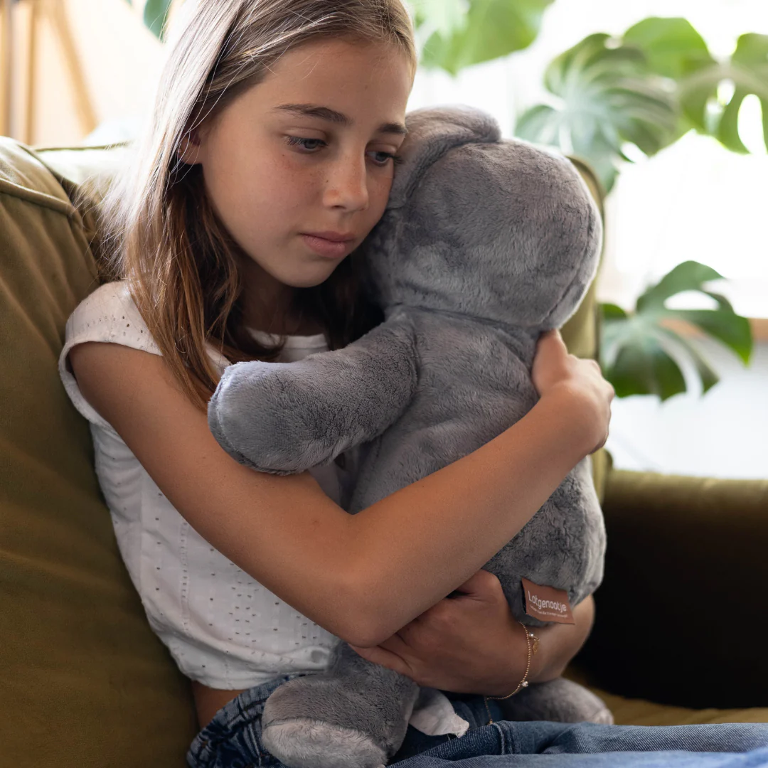 Mini & Grote Koala- Je bespaart €20 - Image 5