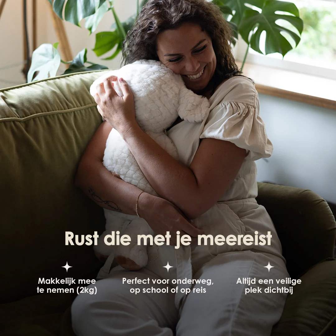 Mini & Grote Schaap - Je bespaart €20 - Image 5