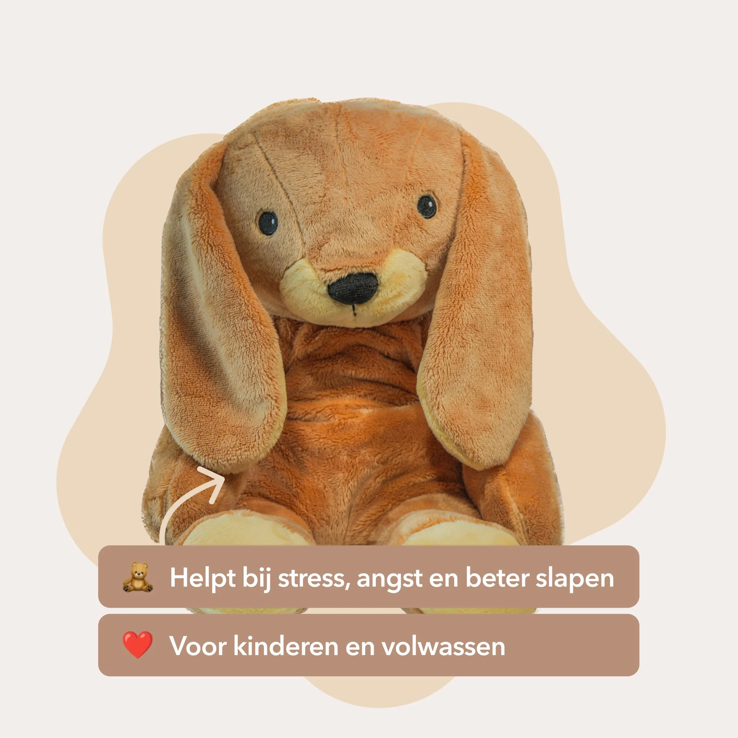 De beste Lotgenootje deal – Alle 4 Lotgenootjes in 1 - Je bespaart €70 - Image 4