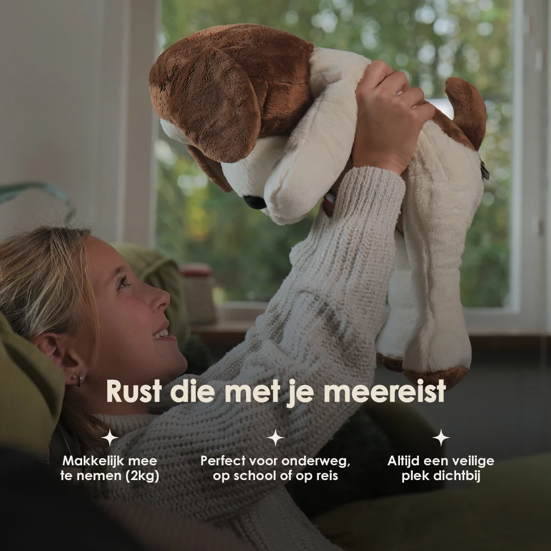 Lotgenootje Hond 2kg - Image 11