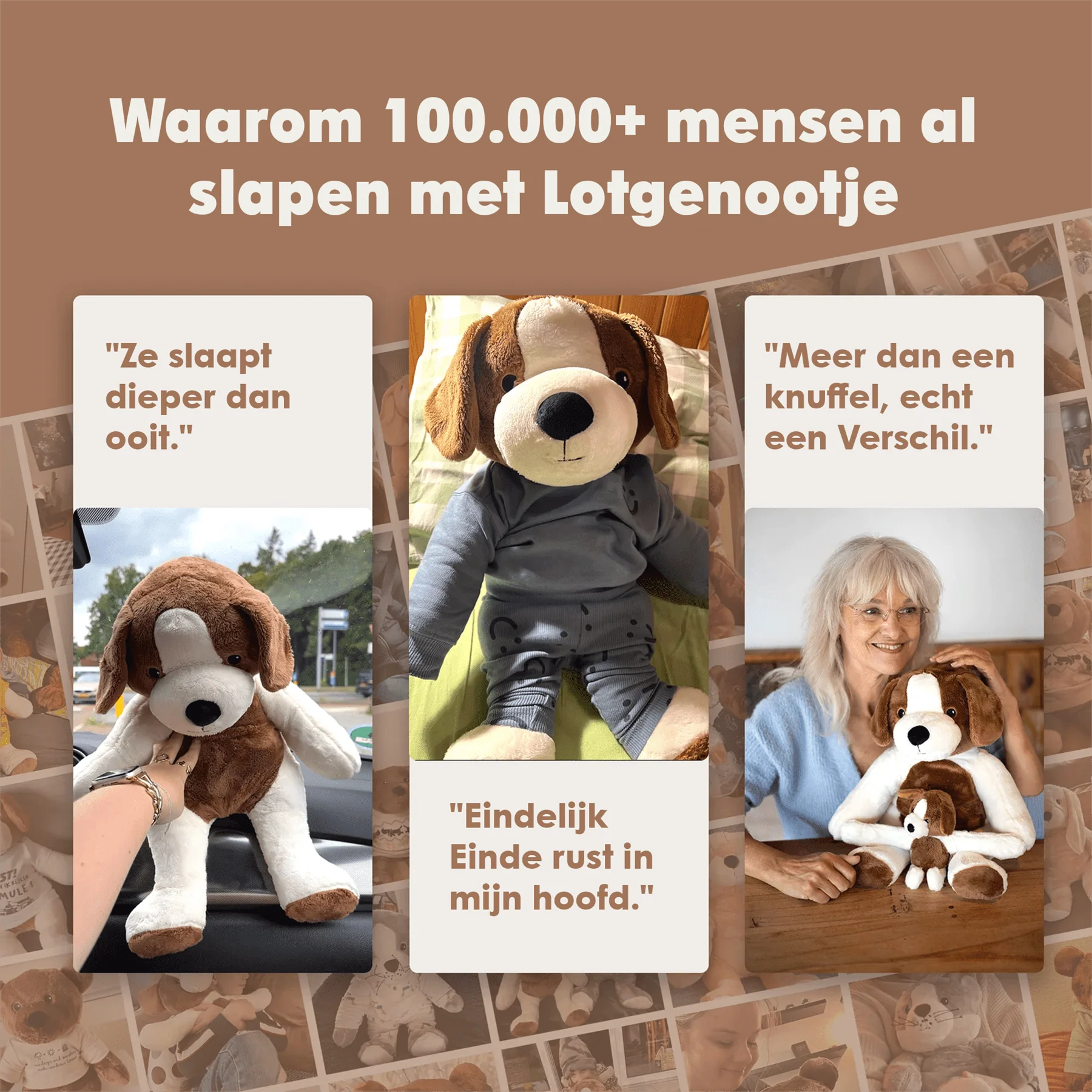 Lotgenootje Hond 2kg - Image 15