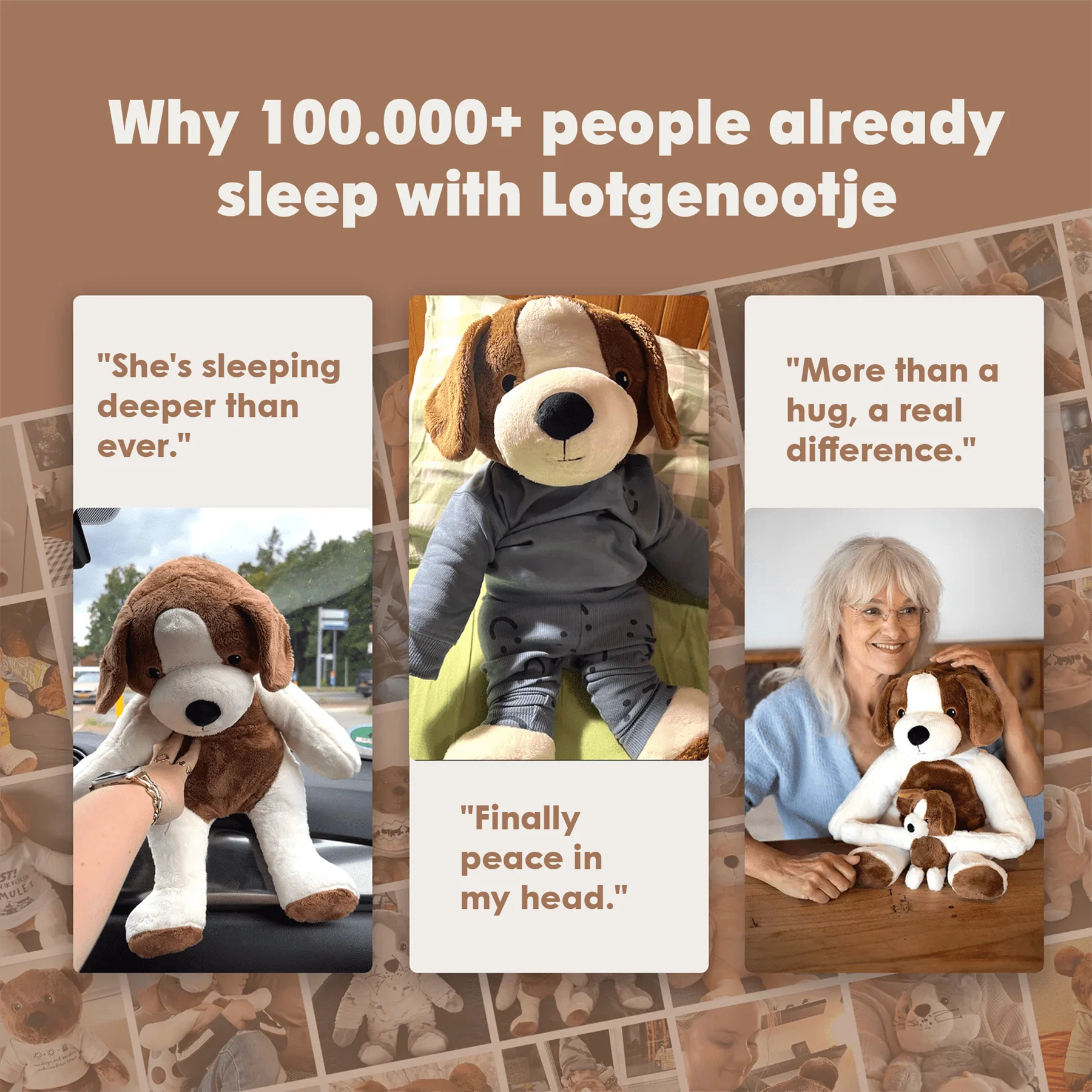 Lotgenootje Hond 2kg - Image 24