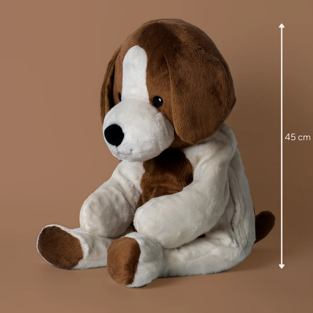 Lotgenootje Hond 2kg - Image 26