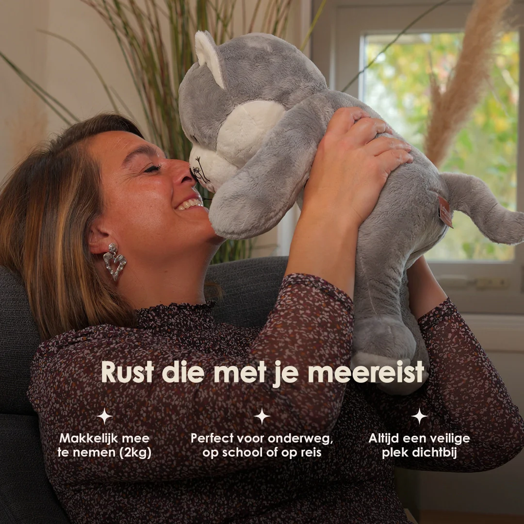 Lotgenootje Kat 2kg - Image 11