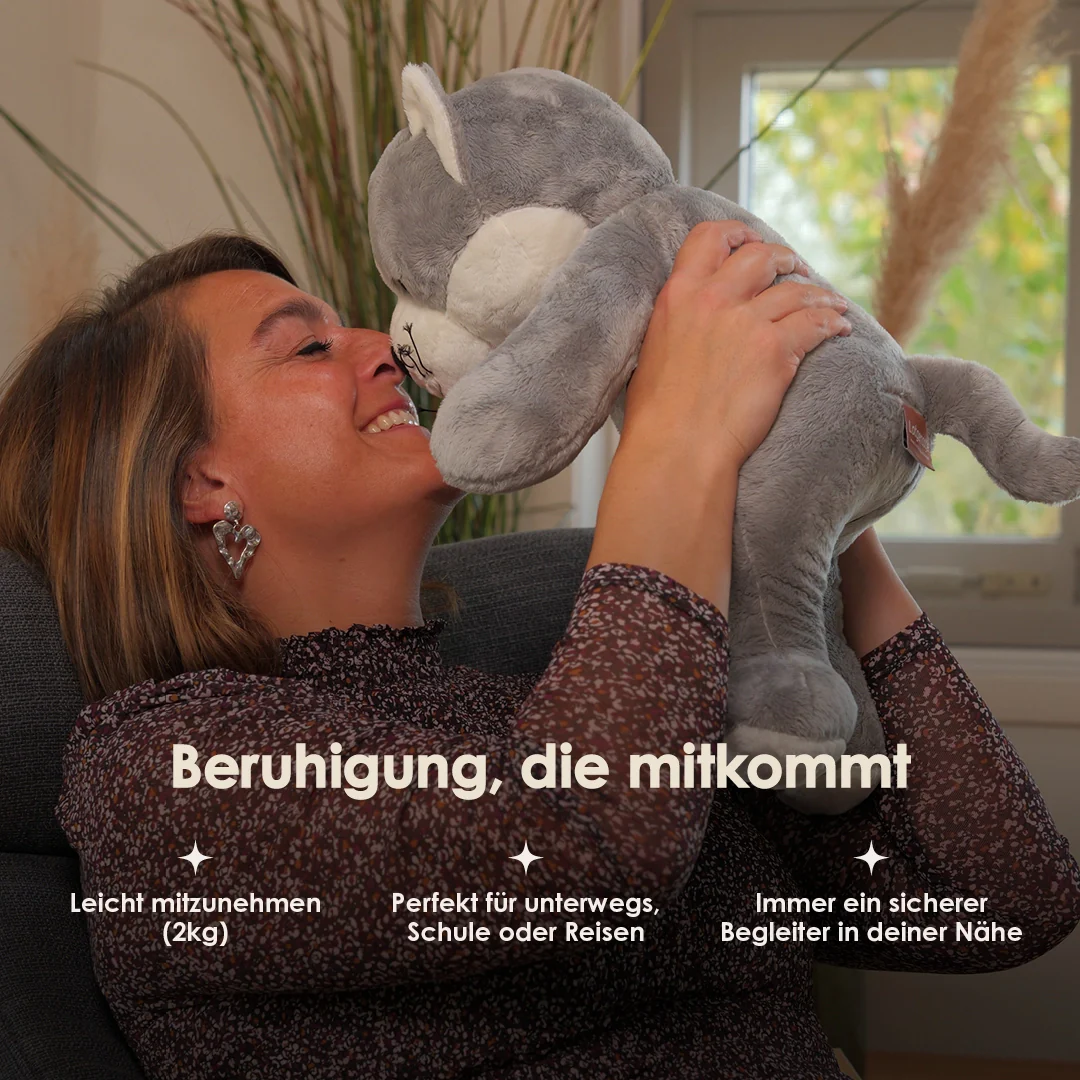 Lotgenootje Kat 2kg - Image 12