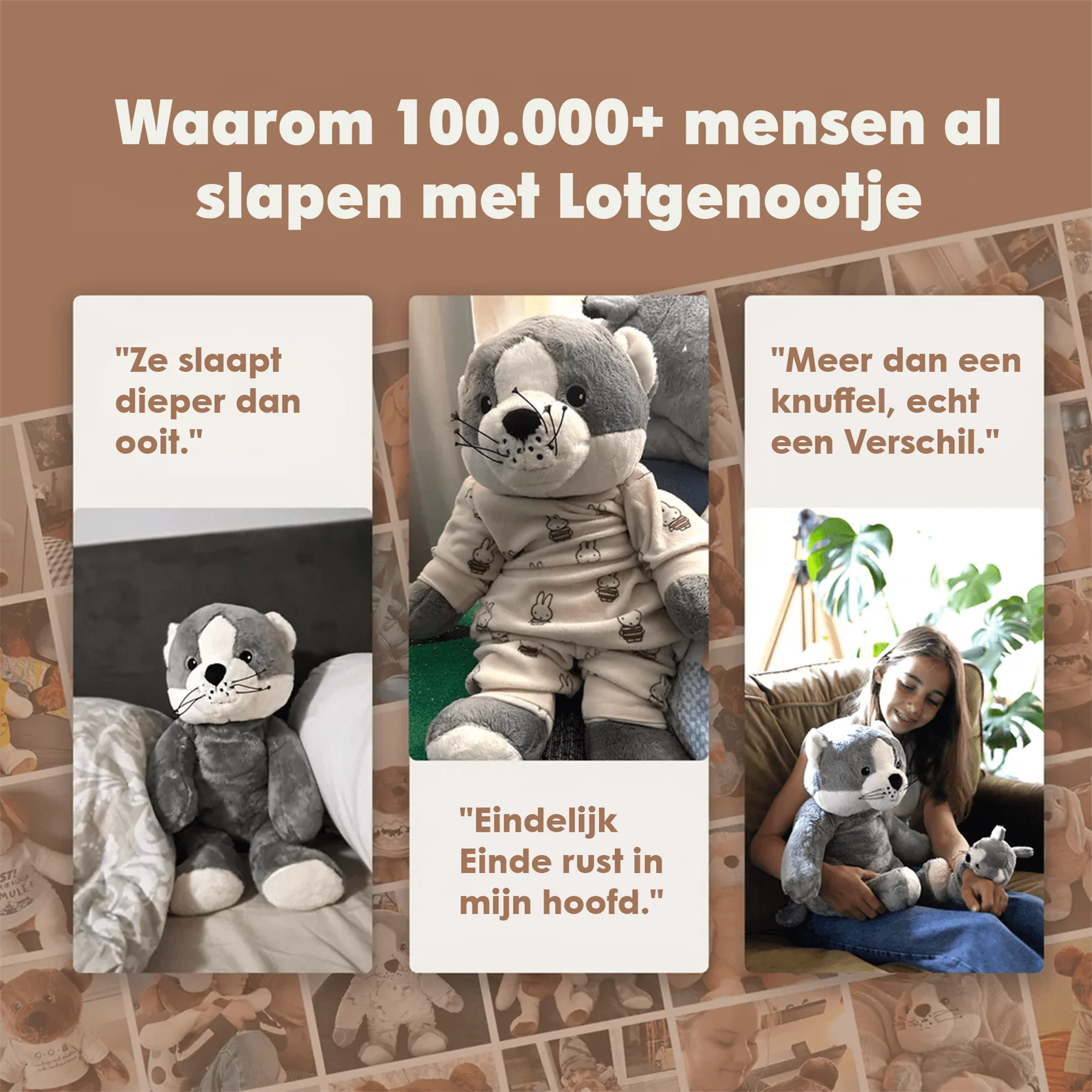 Lotgenootje Kat 2kg - Image 15