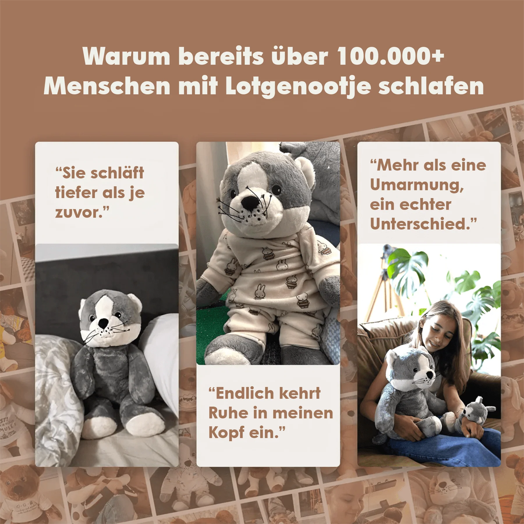 Lotgenootje Kat 2kg - Image 16