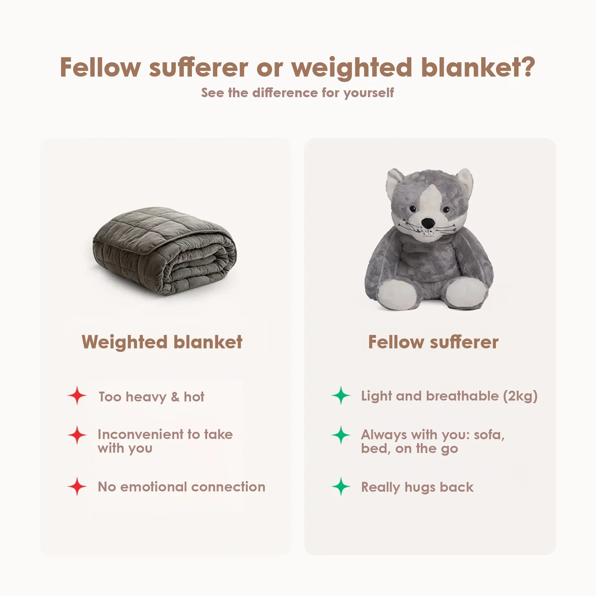 Lotgenootje Kat 2kg - Image 20