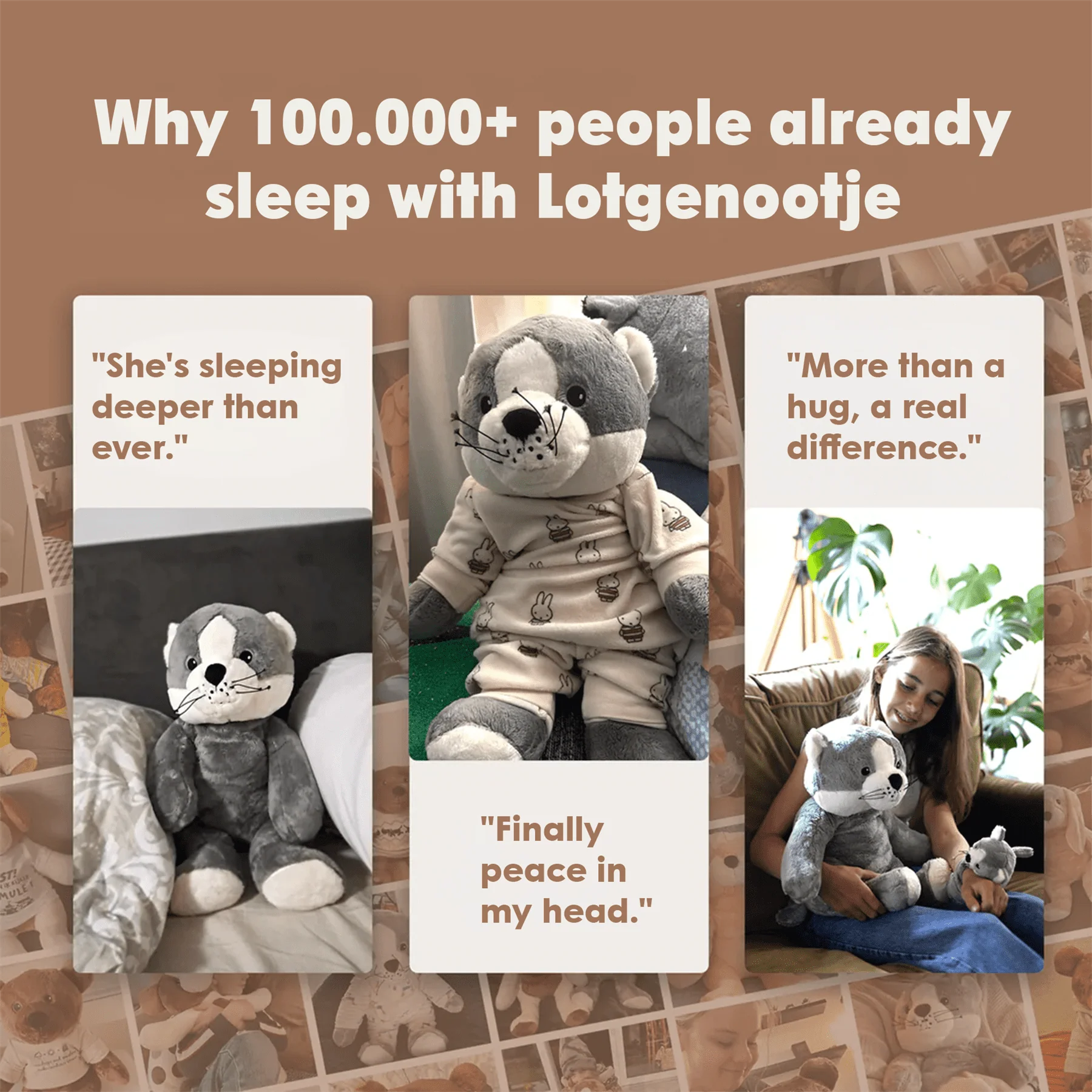 Lotgenootje Kat 2kg - Image 24