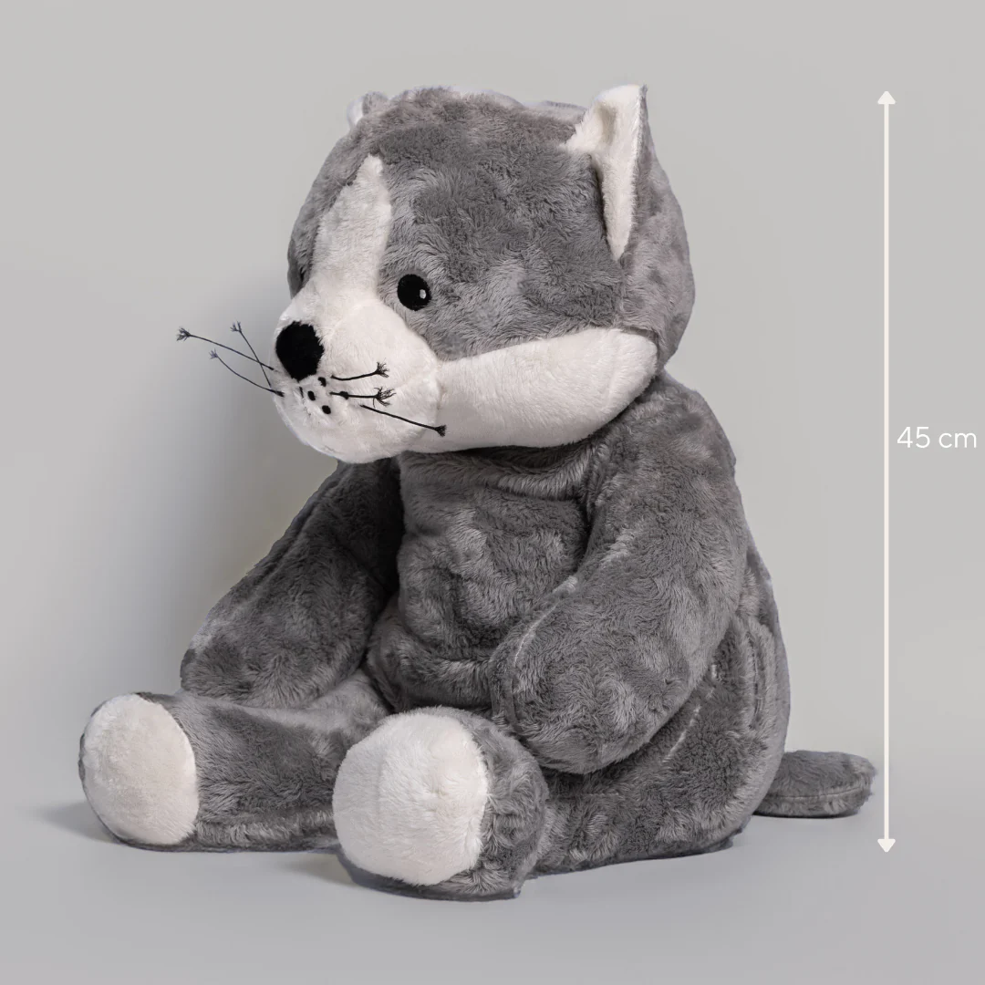 Lotgenootje Kat 2kg - Image 26