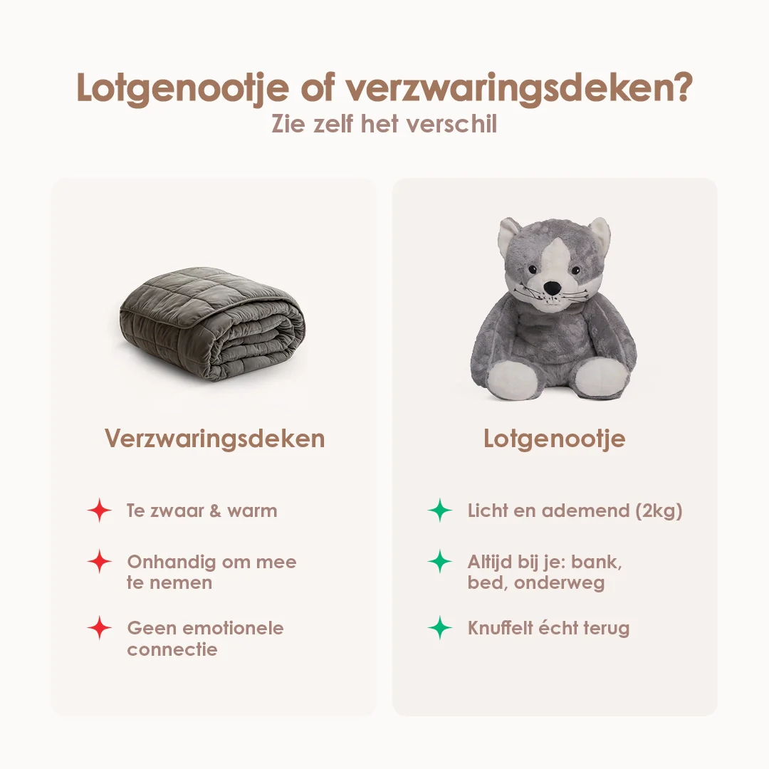 Lotgenootje Kat 2kg - Image 7