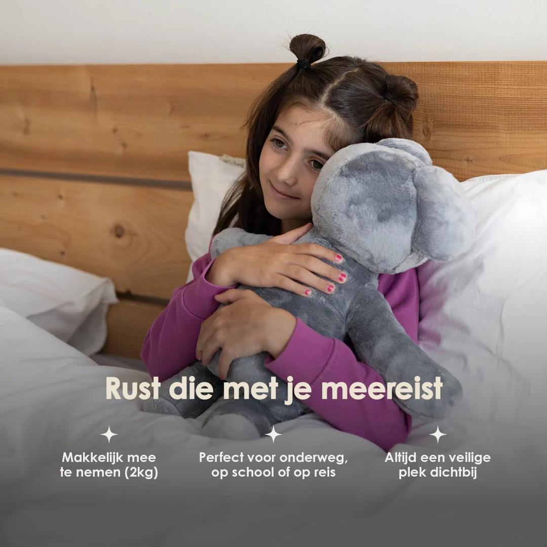 Lotgenootje Koala 2kg - Image 11