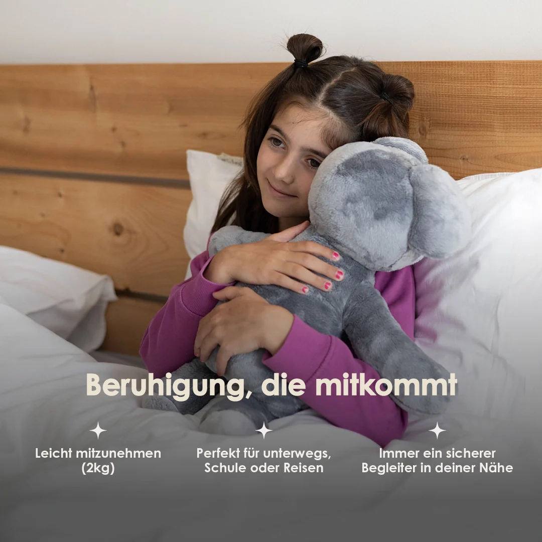 Lotgenootje Koala 2kg - Image 12