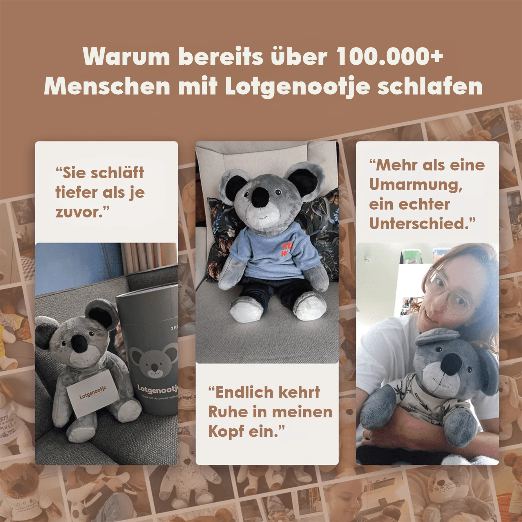 Lotgenootje Koala 2kg - Image 16