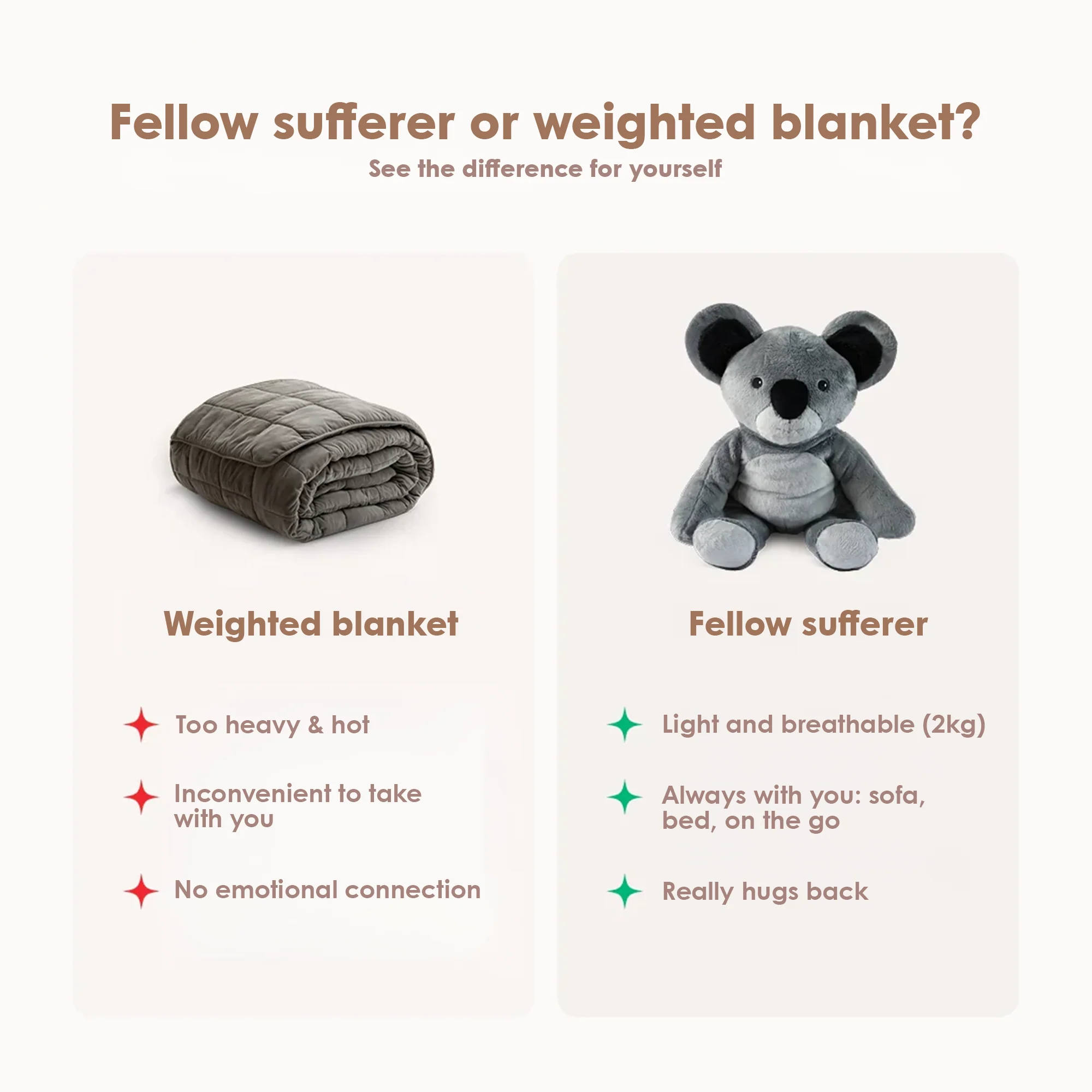 Lotgenootje Koala 2kg - Image 20