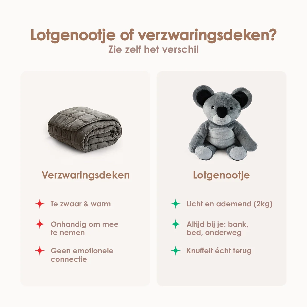 Lotgenootje Koala 2kg - Image 7