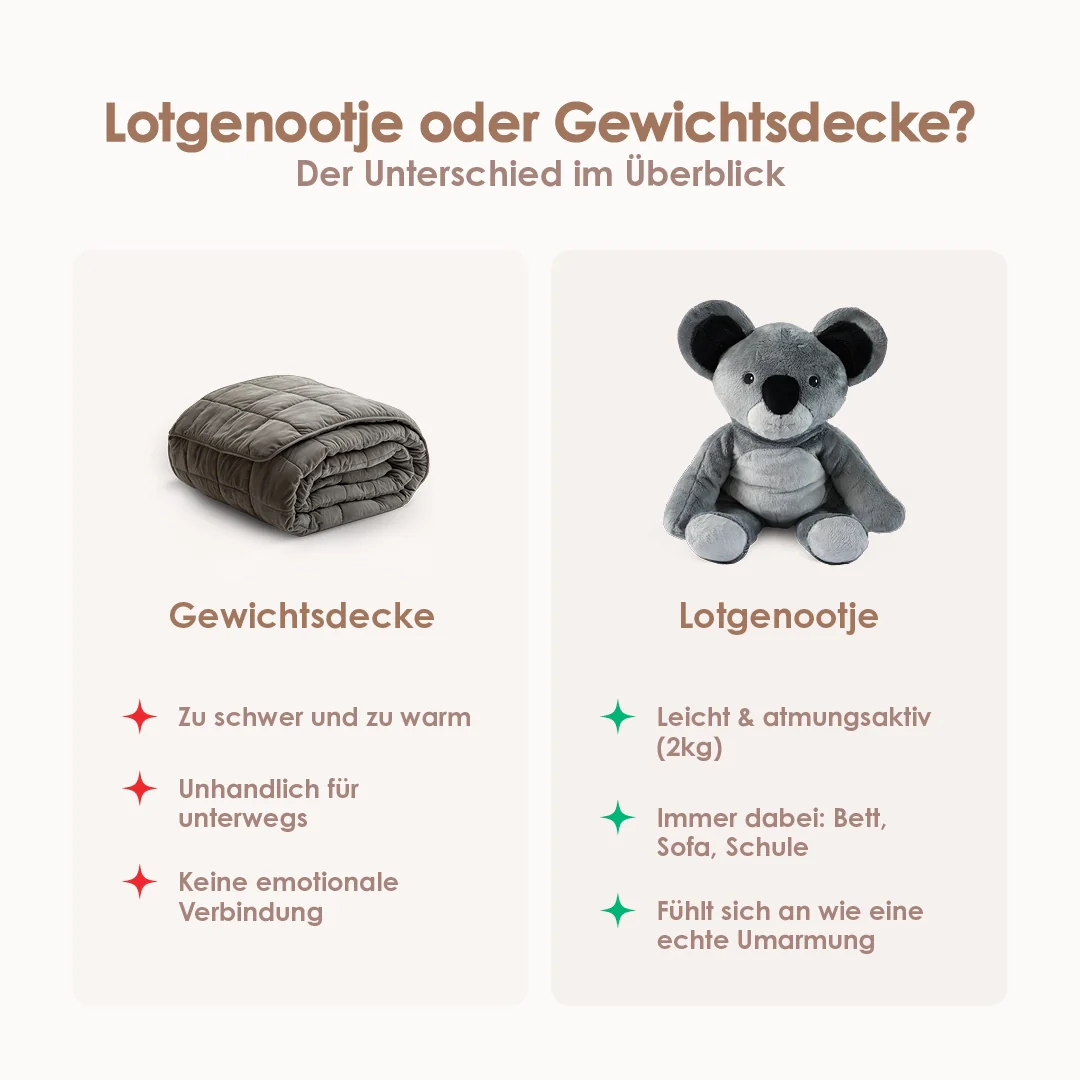 Lotgenootje Koala 2kg - Image 8